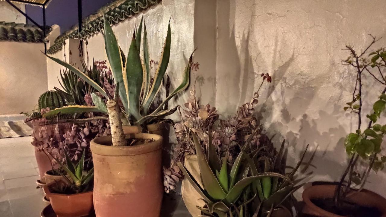 Riad Dar Alma Φεζ Εξωτερικό φωτογραφία